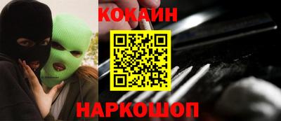 крисы Новокубанск