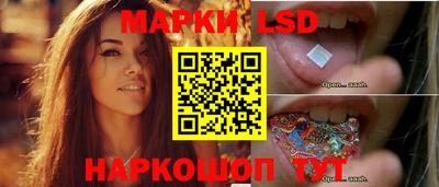 крисы Новокубанск