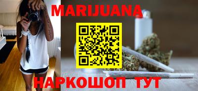 крисы Новокубанск