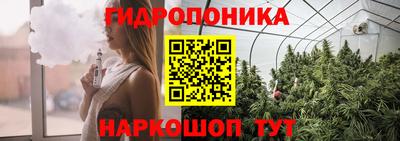 apvp Новодвинск