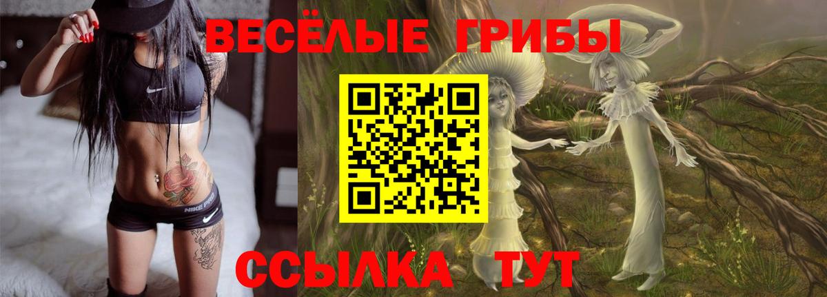 Псилоцибиновые грибы Psilocybine cubensis  Вход с VPN  Унеча  закладки  Галлюциногенные грибы Cubensis 